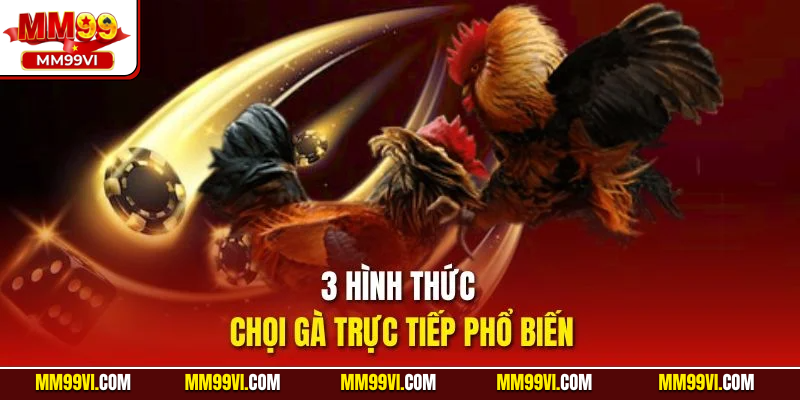 3 hình thức chọi gà trực tiếp phổ biến