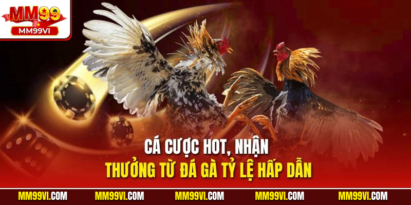 Cá cược hot, nhận thưởng từ đá gà tỷ lệ hấp dẫn