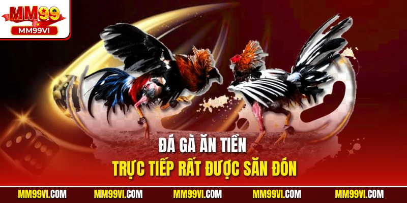 Đá gà ăn tiền trực tiếp rất được săn đón