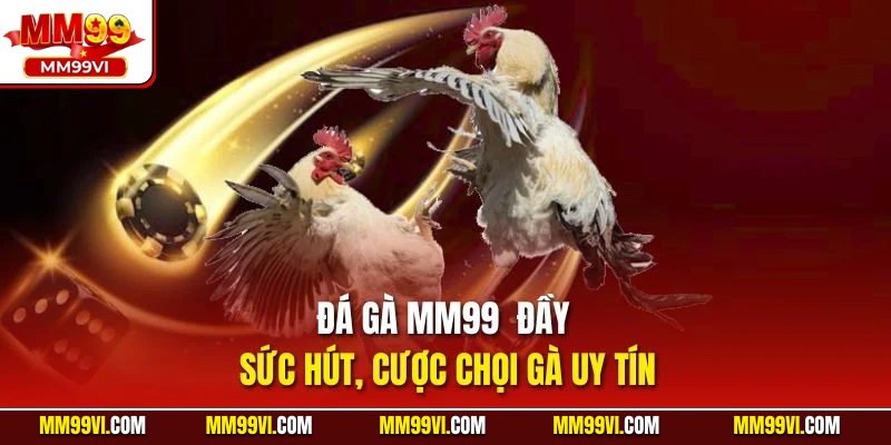 Đá gà MM99 đầy sức hút, cược chọi gà uy tín