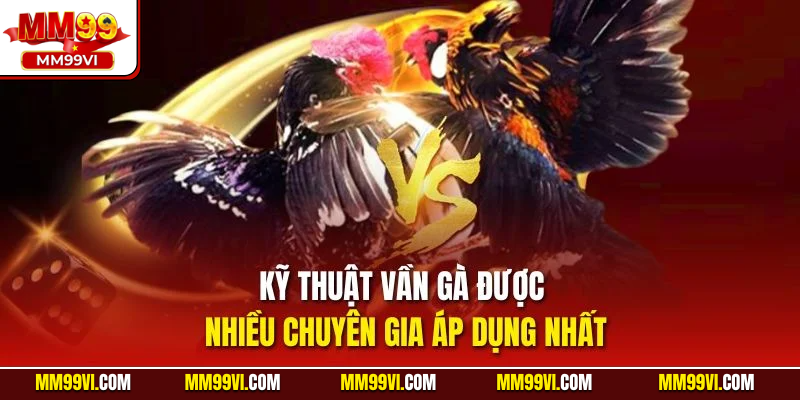 Cách vần gà trước khi đá được nhiều chuyên gia áp dụng nhất