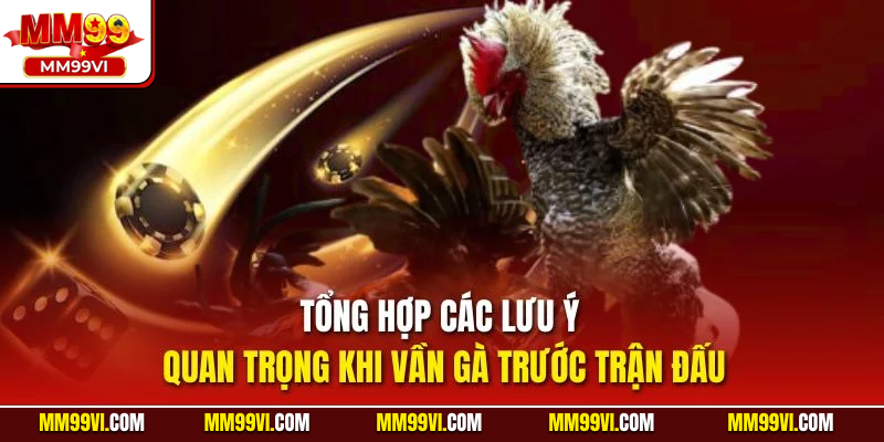 Tổng hợp các lưu ý quan trọng khi vần gà trước trận đấu
