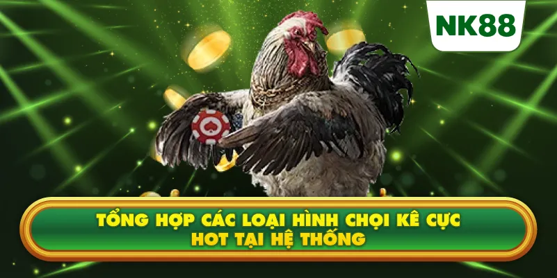 Tổng hợp các loại hình chọi kê cực hot tại hệ thống